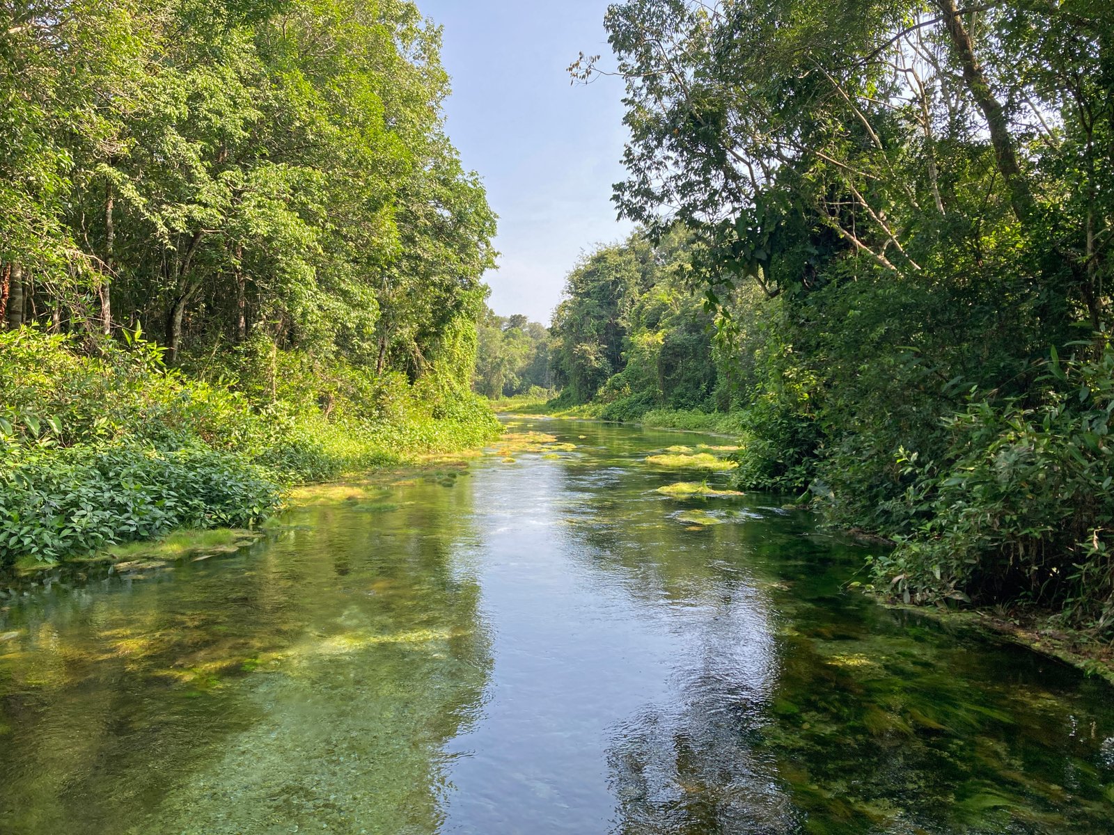 Fishing experience